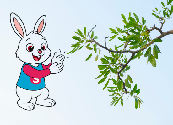 SK 5 & 6, Sector 116, Noida Gr Noida West, UP