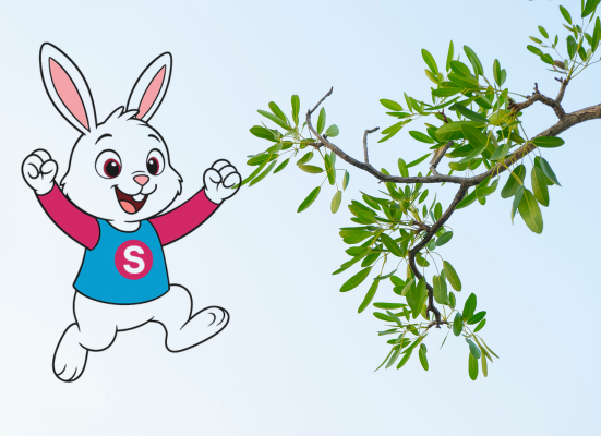 SK 5 & 6, Sector 116, Noida Gr Noida West, UP